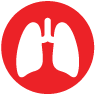 Respiratory Medicine